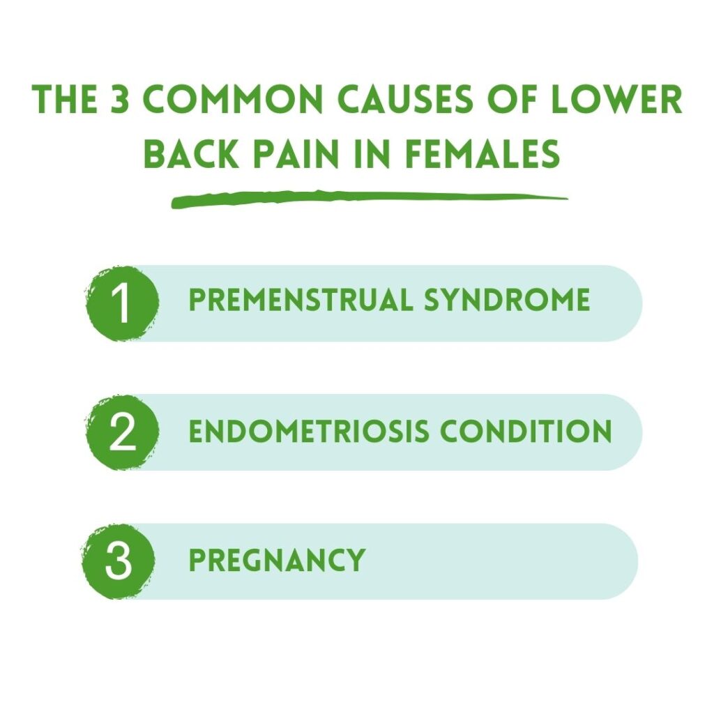 The 3 Common Causes Of Lower Back Pain In Females